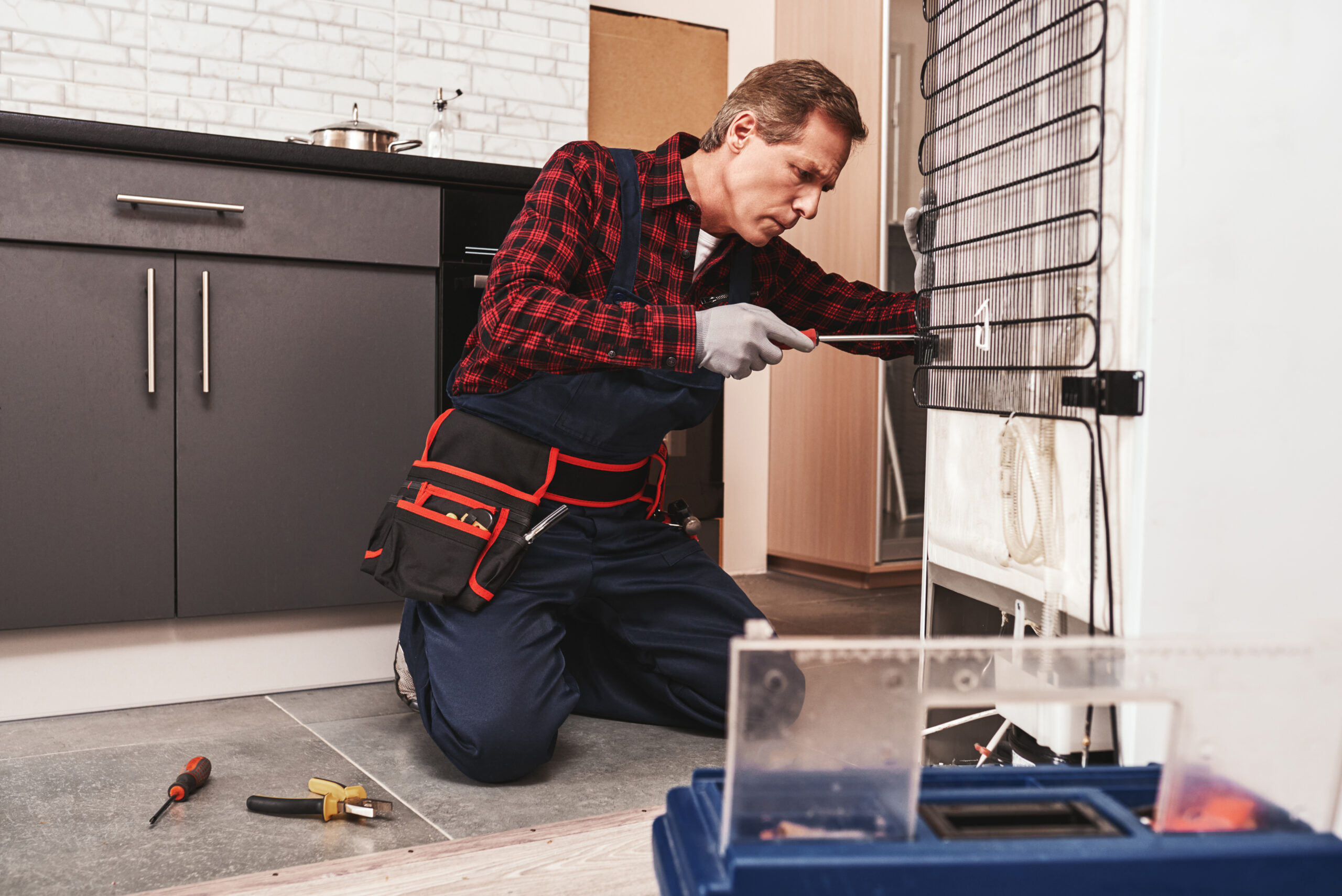 Riparazioni Frigoriferi a Como